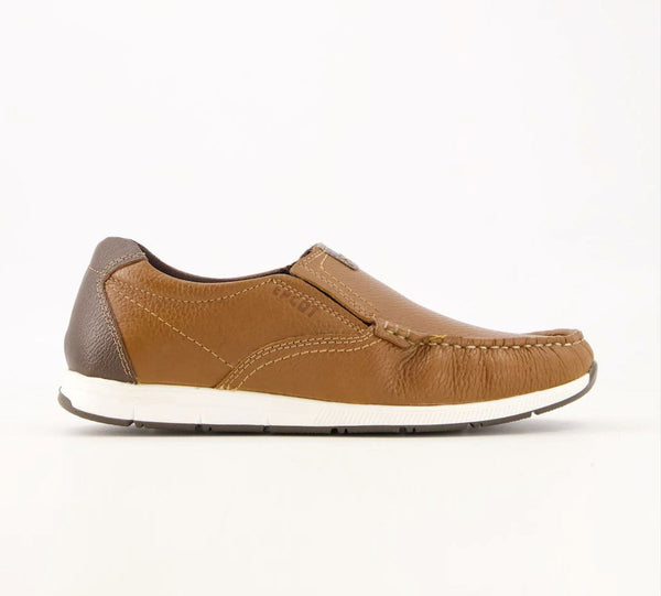 Sneaker Epcot Shoes online